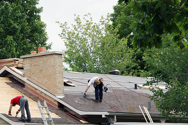 Best Roof Gutter Cleaning  in Oak Ridge North, TX